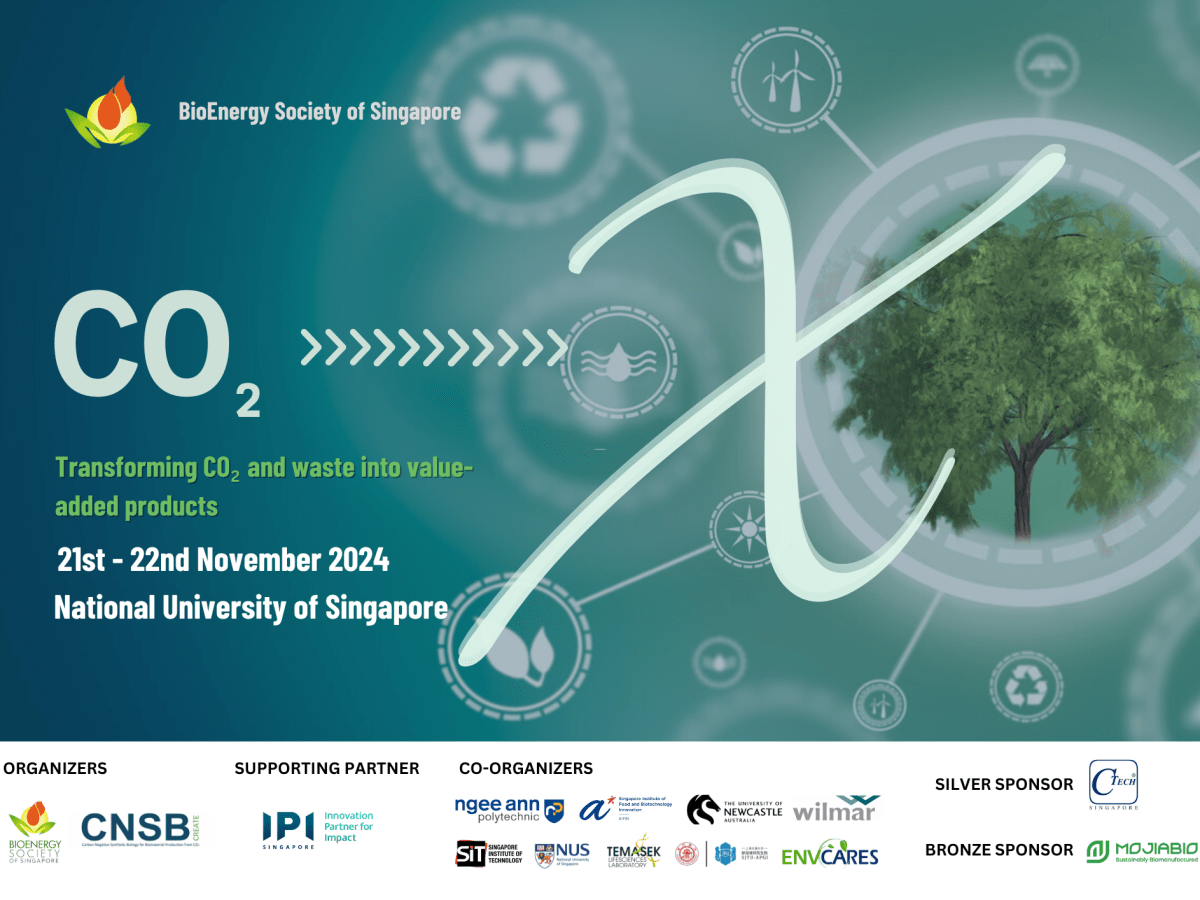 A wrap of CO2 to X: Transforming CO2 and Waste into Value-added&nbsp;Products